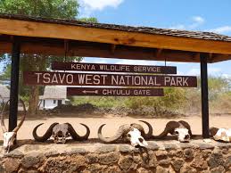 Tsavo West Kenya Safari - Rugged terrain and unique wildlife experiences in western Tsavo | Luxury & Accessible Tours